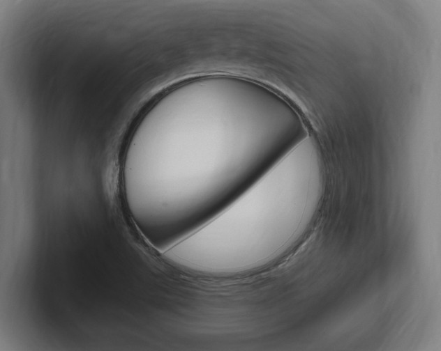 X0000102391507200808010924