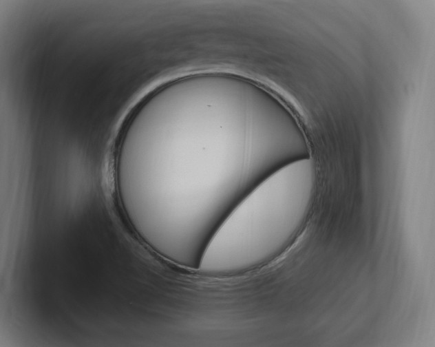 X0000102391510200808010924