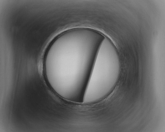 X0000102391511200808010924