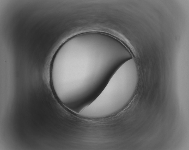 X0000102391512200808010924