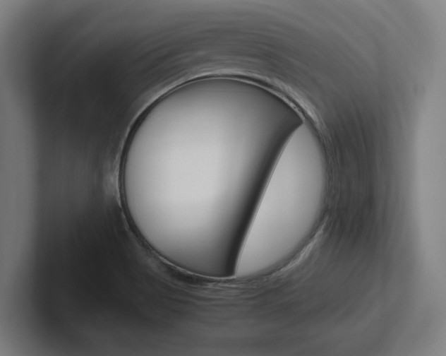 X0000102391513200808010924