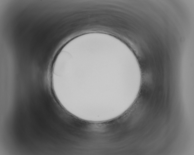 X0000102391514200808010924