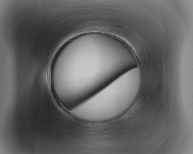 X0000102391515200808010924