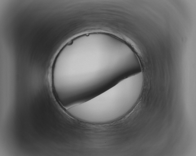 X0000102391516200808010924