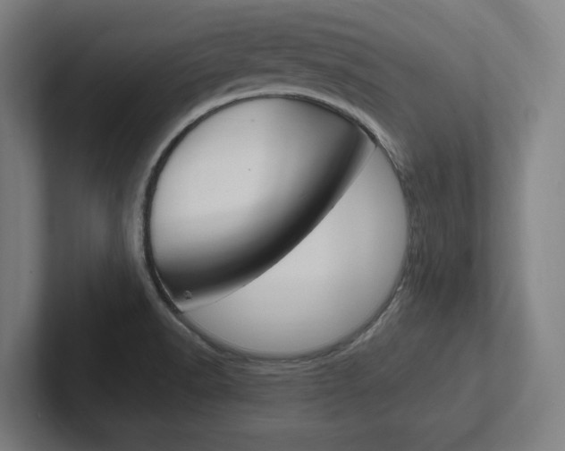 X0000102391518200808010924