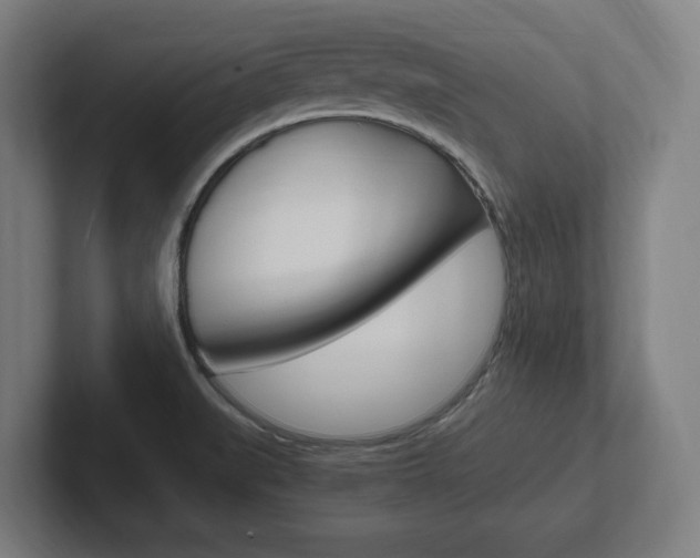 X0000102391519200808010924