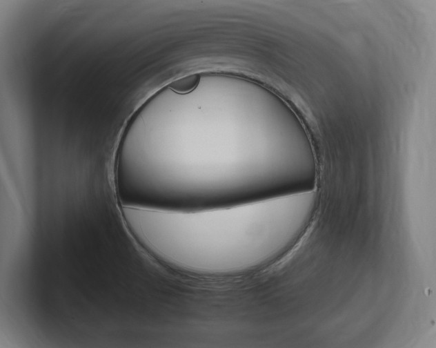 X0000102391521200808010924
