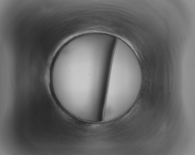 X0000102391523200808010924