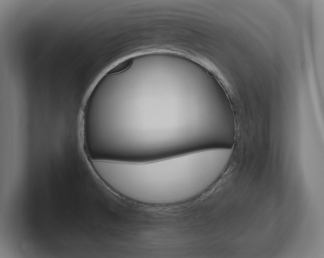 X0000102391524200808010924