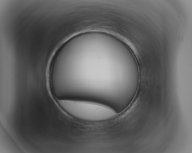 X0000102391525200808010924