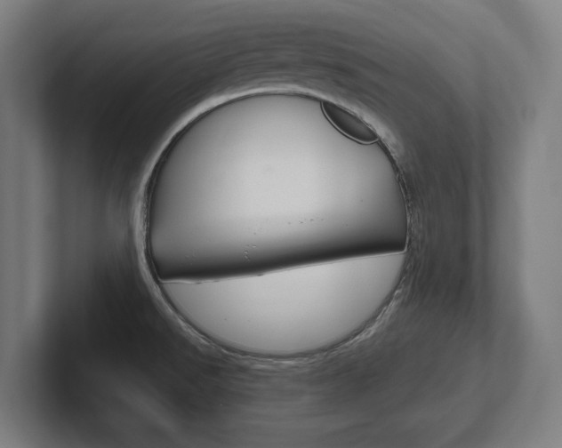 X0000102391526200808010924