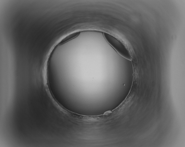X0000102391528200808010924