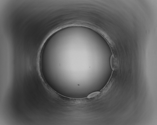 X0000102391530200808010924