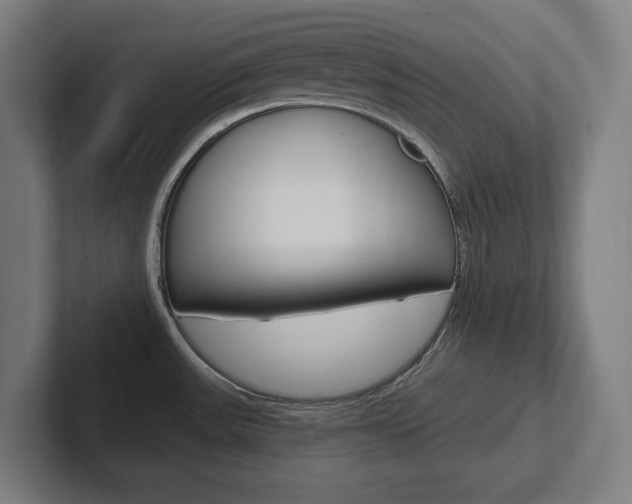 X0000102391531200808010924