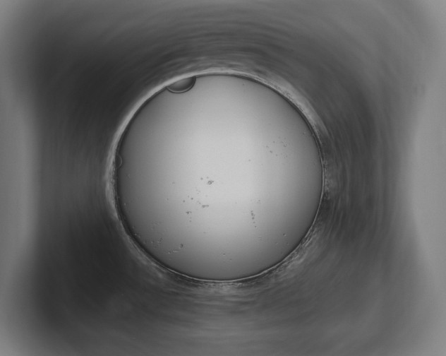 X0000102391532200808010924