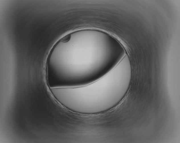 X0000102391534200808010924