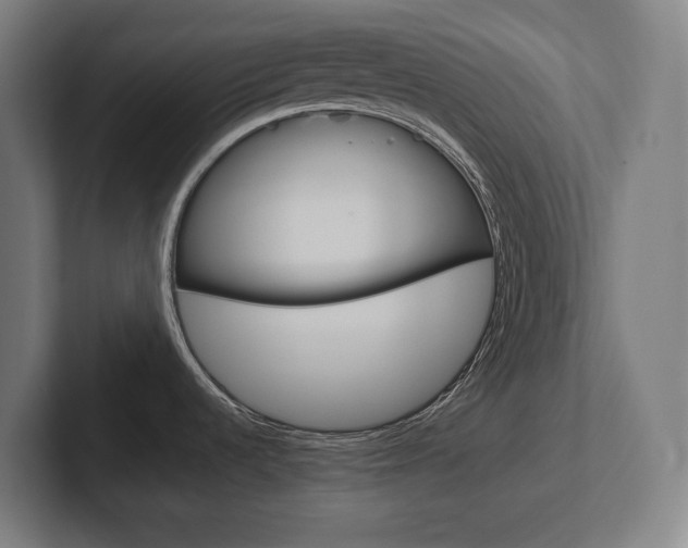 X0000102391536200808010924