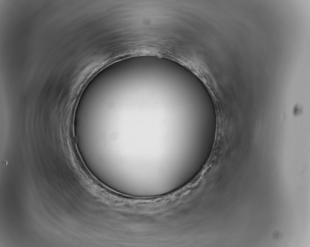 X0000102390001200808011611