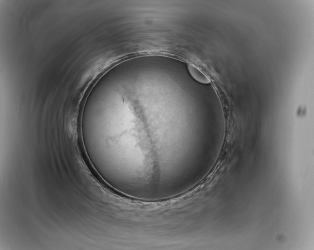 X0000102390002200808011611