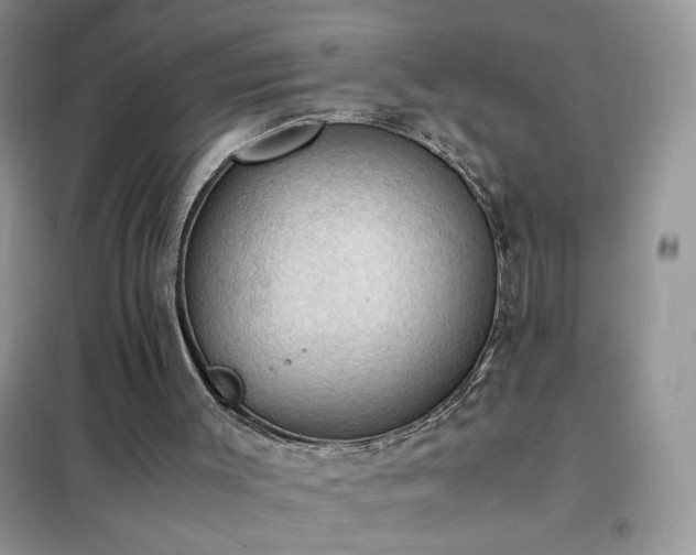 X0000102390003200808011611