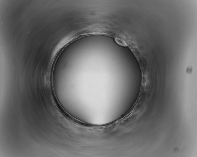 X0000102390004200808011611