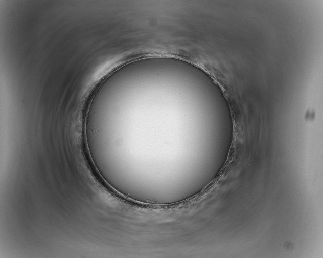 X0000102390005200808011611