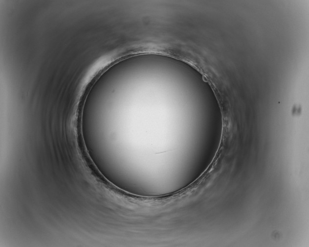 X0000102390006200808011611