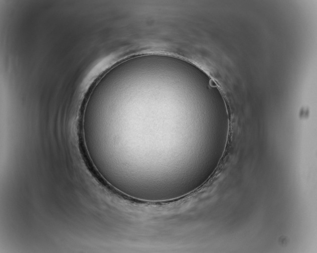 X0000102390007200808011611