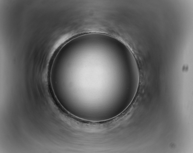 X0000102390008200808011611