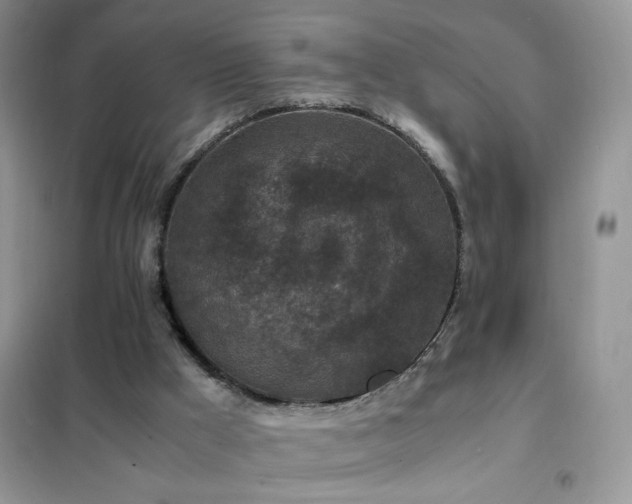 X0000102390009200808011611