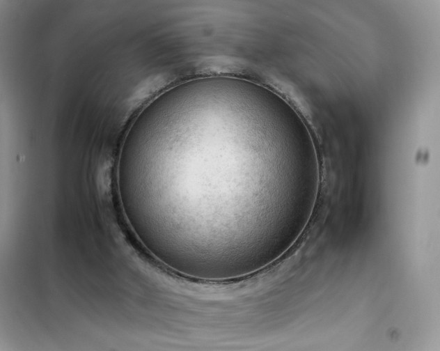 X0000102390010200808011611