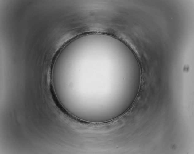 X0000102390011200808011611