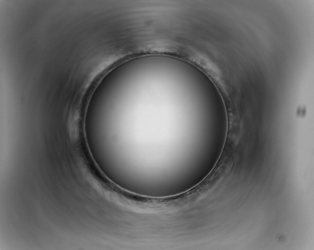 X0000102390012200808011611