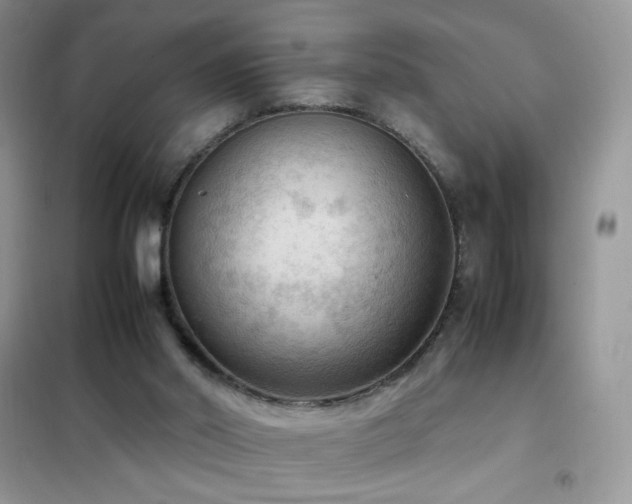 X0000102390014200808011611