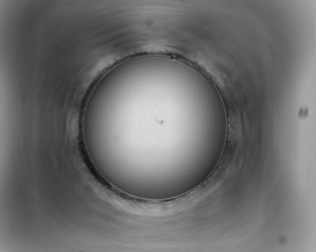 X0000102390015200808011611