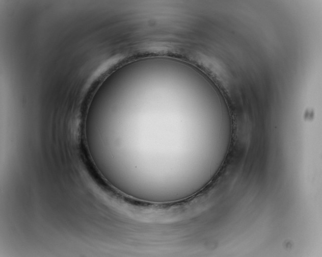 X0000102390016200808011611