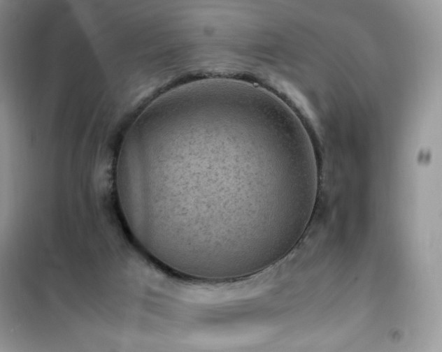 X0000102390017200808011611