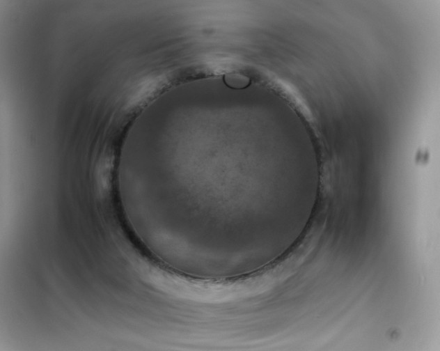 X0000102390018200808011611