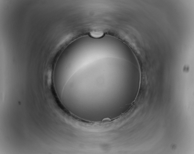 X0000102390019200808011611