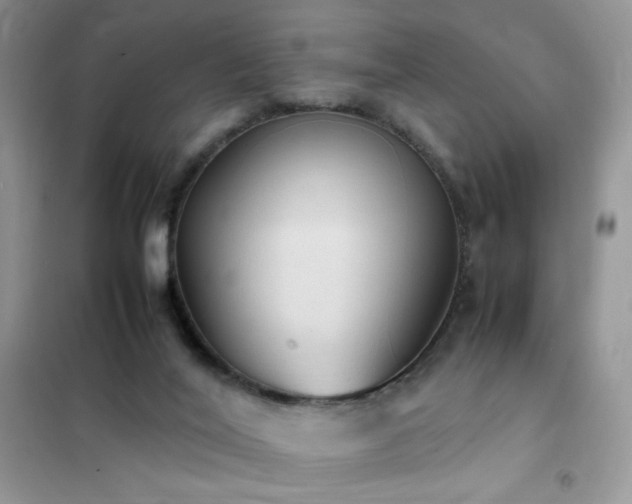 X0000102390020200808011611