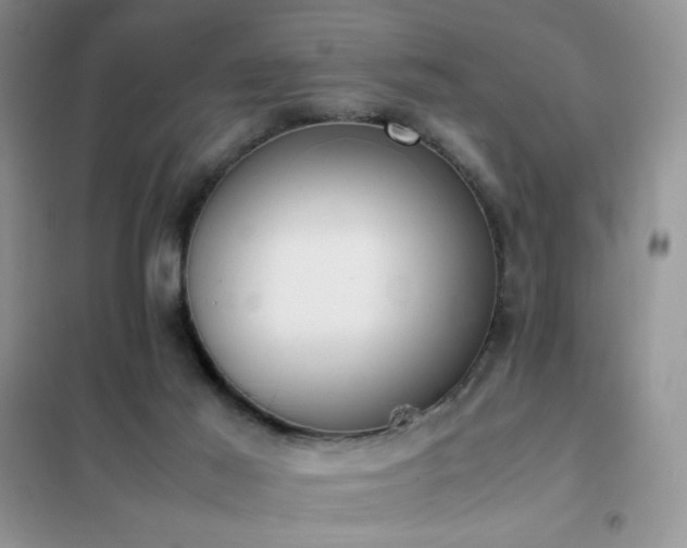 X0000102390021200808011611