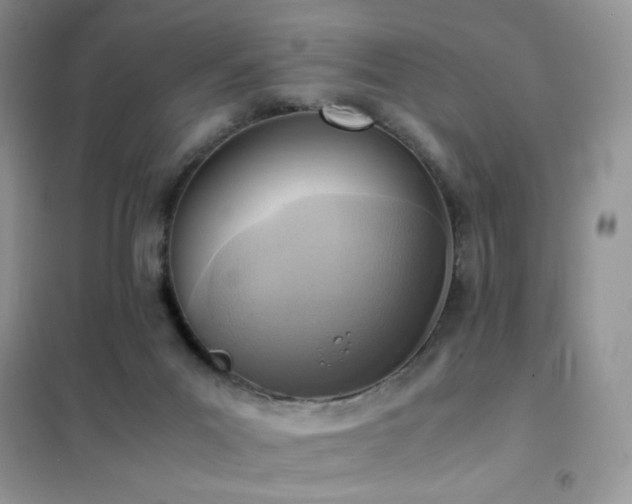 X0000102390023200808011611