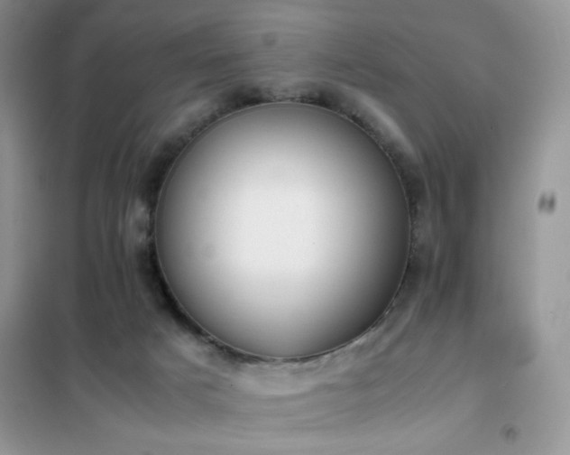 X0000102390025200808011611