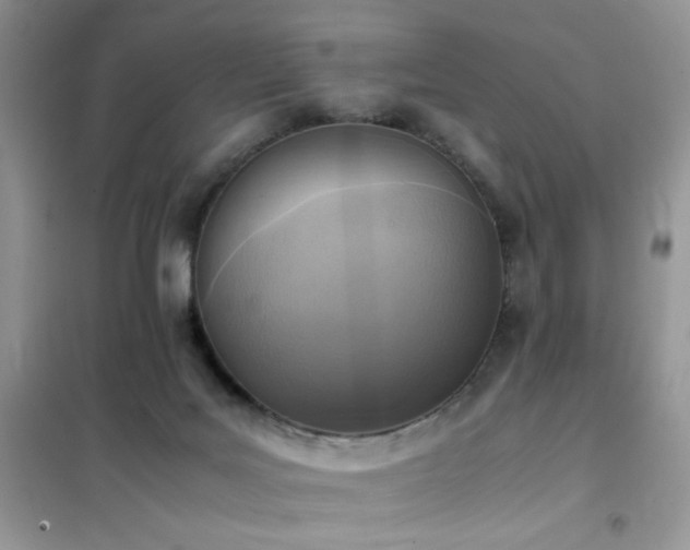 X0000102390027200808011611