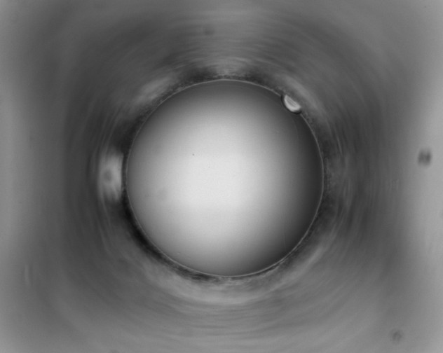 X0000102390028200808011611