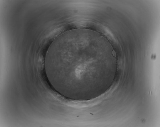 X0000102390029200808011611