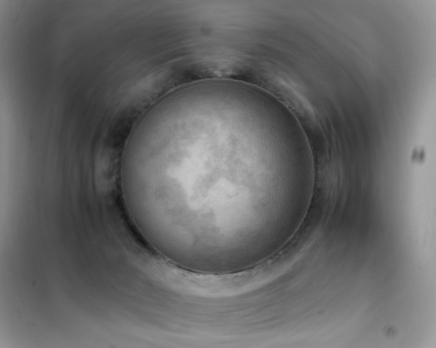 X0000102390030200808011611