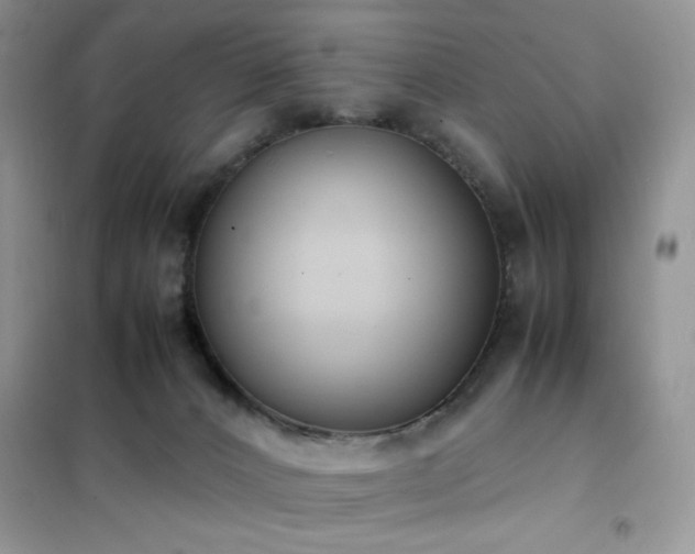 X0000102390032200808011611