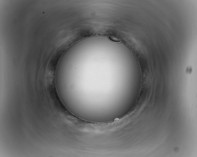 X0000102390033200808011610