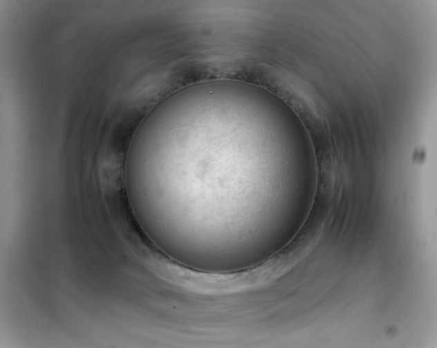 X0000102390034200808011610